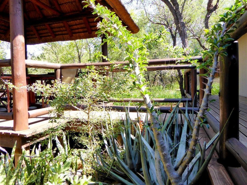Hoedspruit Raptors Lodge N16 Екстер'єр фото